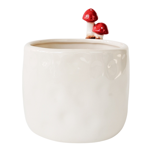 Toadstool Planter