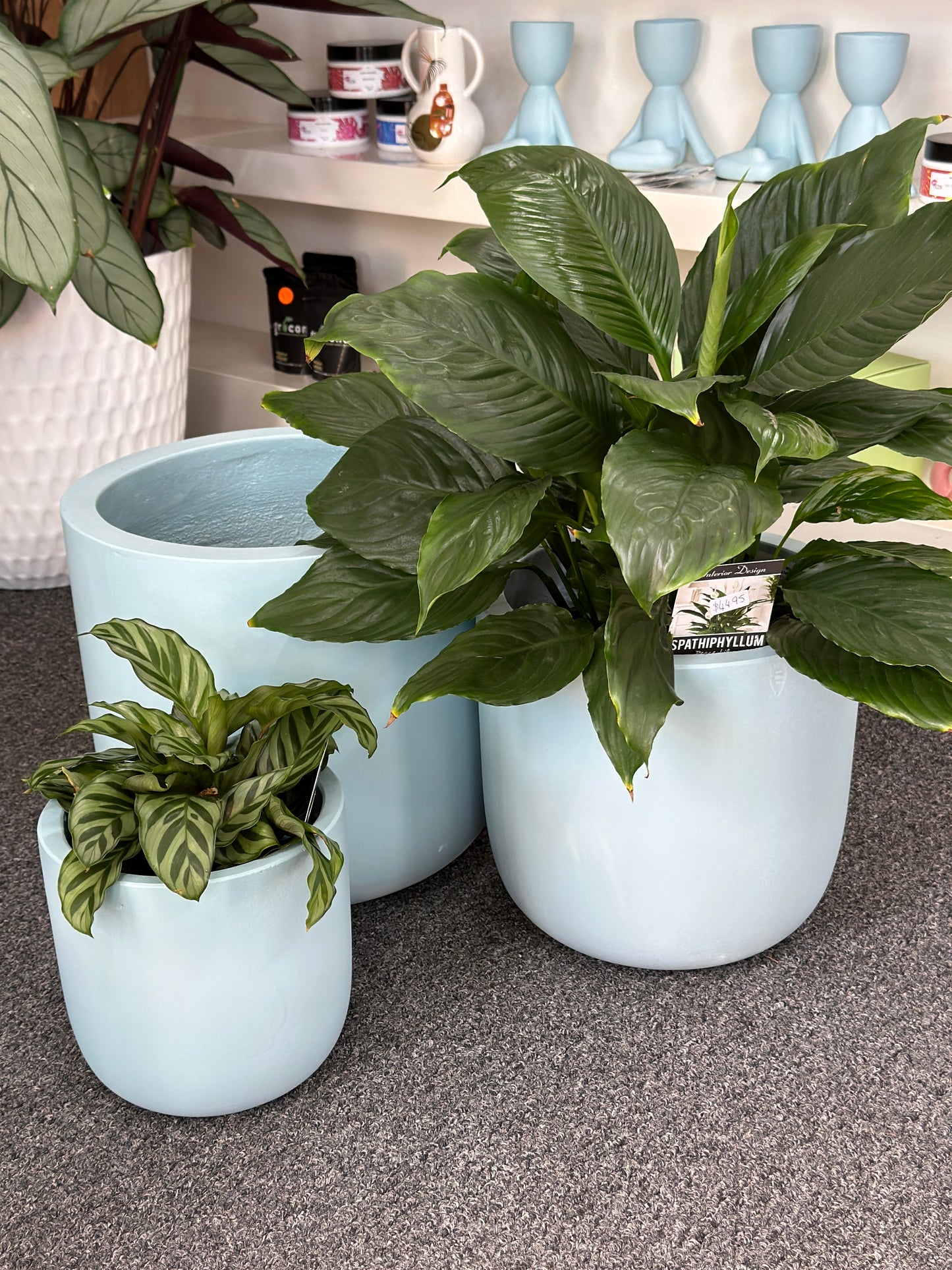 Mai Egg Planter - Mint