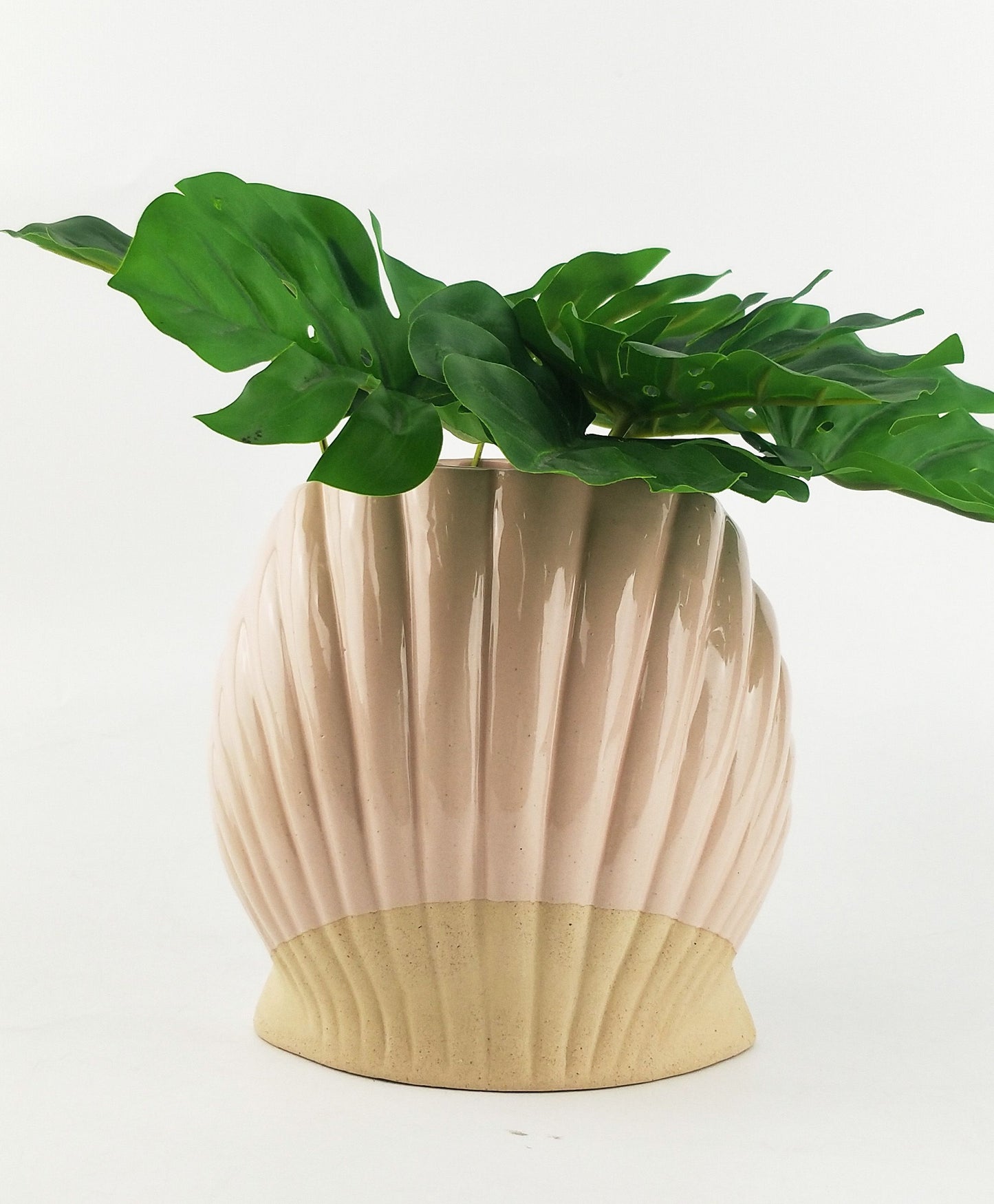 Clam Shell Pink Planter
